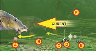 monturi crap 2 - images-1.jpg